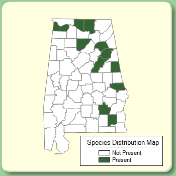 Species Distribution Map