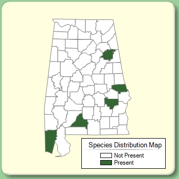 Species Distribution Map