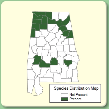 Species Distribution Map