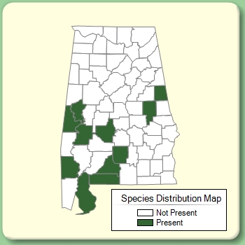 Species Distribution Map