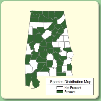 Species Distribution Map