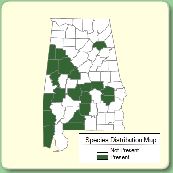 Species Distribution Map