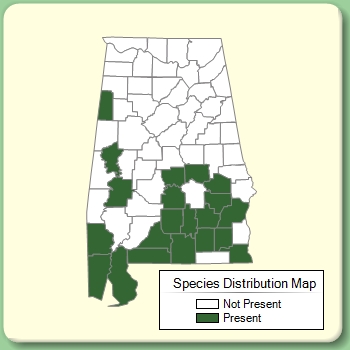 Species Distribution Map