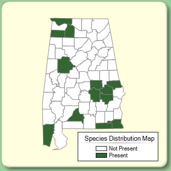 Species Distribution Map