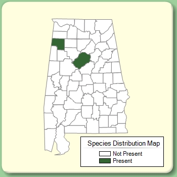 Species Distribution Map