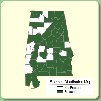 Species Distribution Map