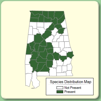 Species Distribution Map