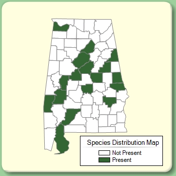 Species Distribution Map