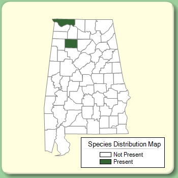 Species Distribution Map