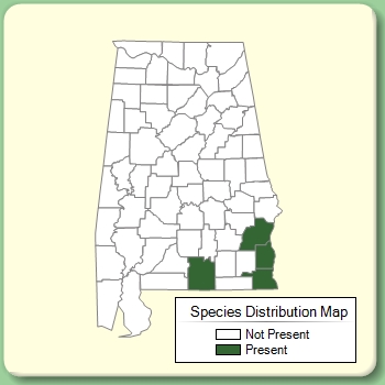 Species Distribution Map