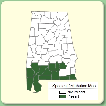 Species Distribution Map