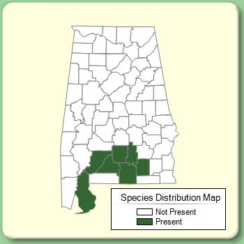 Species Distribution Map