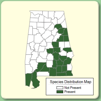 Species Distribution Map