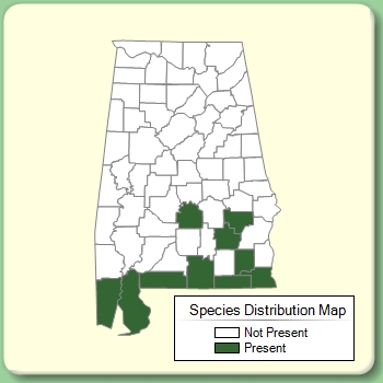 Species Distribution Map