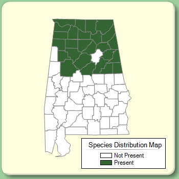 Species Distribution Map