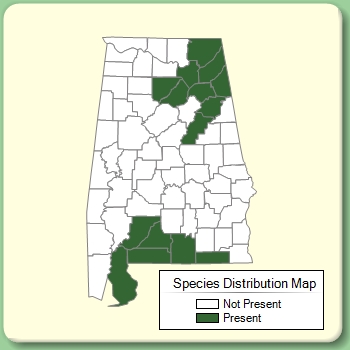 Species Distribution Map