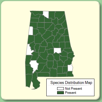 Species Distribution Map