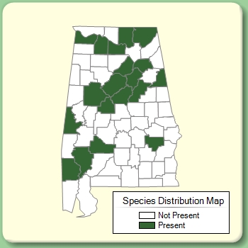 Species Distribution Map