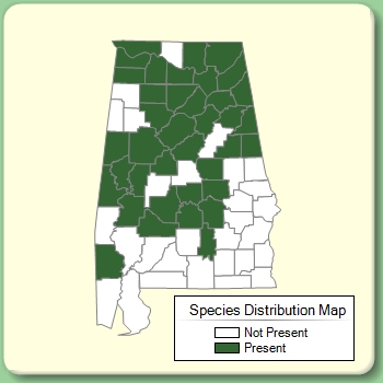 Species Distribution Map