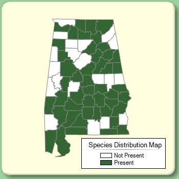 Species Distribution Map