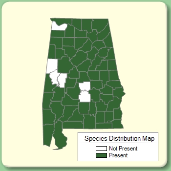 Species Distribution Map