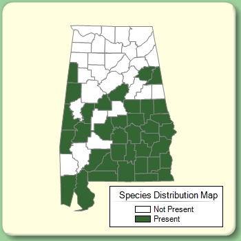 Species Distribution Map