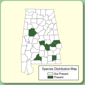 Species Distribution Map