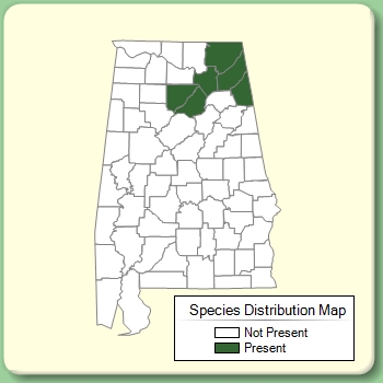 Species Distribution Map