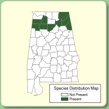 Species Distribution Map