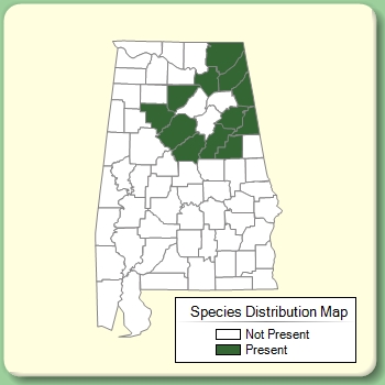 Species Distribution Map