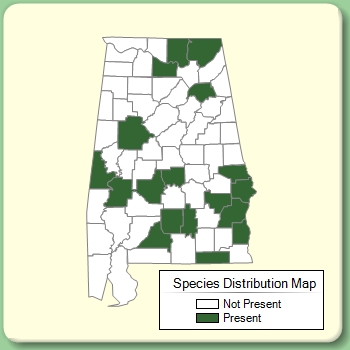 Species Distribution Map