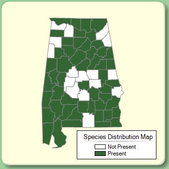 Species Distribution Map