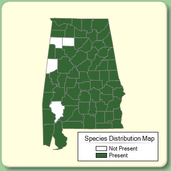 Species Distribution Map