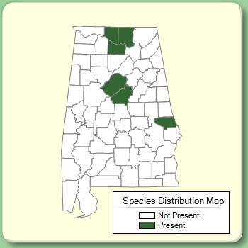 Species Distribution Map