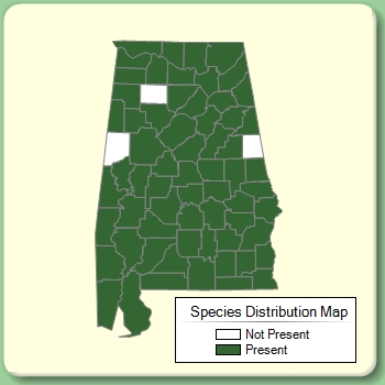 Species Distribution Map