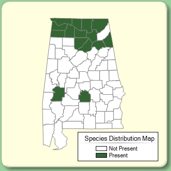 Species Distribution Map