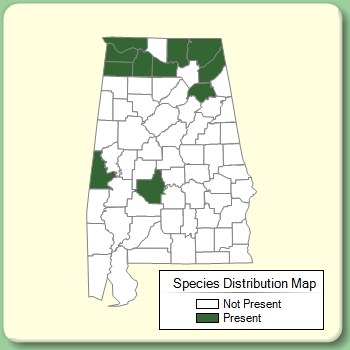 Species Distribution Map