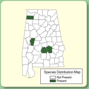 Species Distribution Map