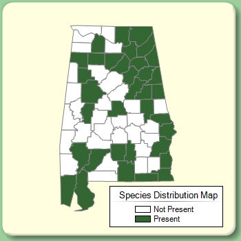 Species Distribution Map