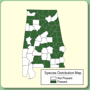 Species Distribution Map