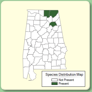 Species Distribution Map