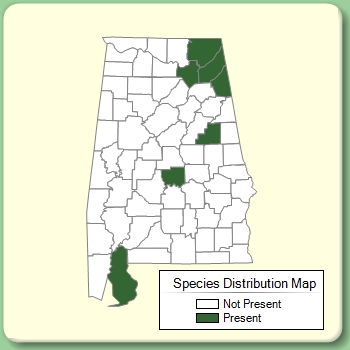 Species Distribution Map