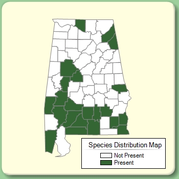 Species Distribution Map