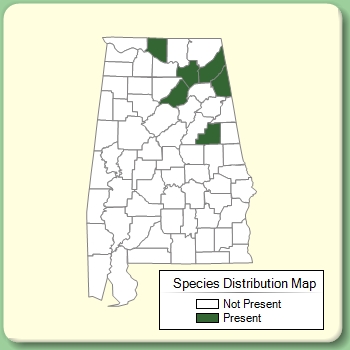 Species Distribution Map