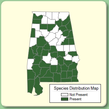 Species Distribution Map