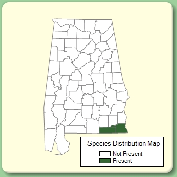 Species Distribution Map