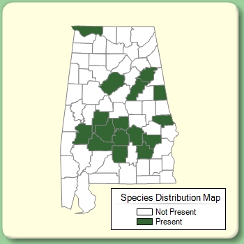 Species Distribution Map