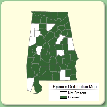 Species Distribution Map