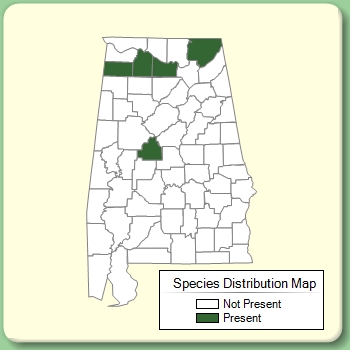 Species Distribution Map