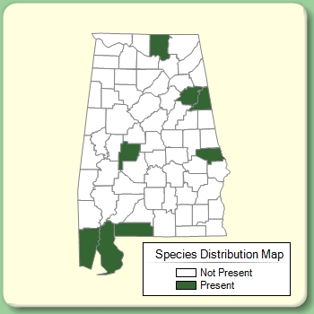 Species Distribution Map